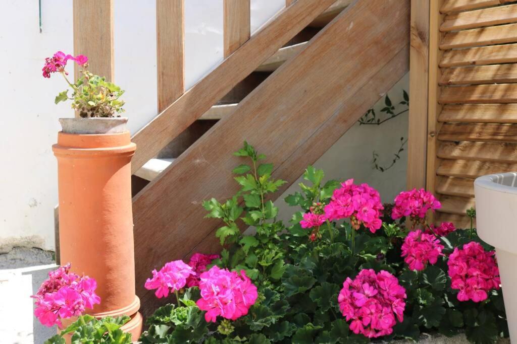 Beau T3 *** Pour 2 A 4 Pers Avec Patio Privatif Daire La Couarde-sur-Mer Dış mekan fotoğraf